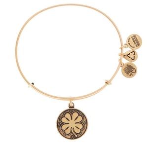 Alex and Ani “good luck” bracelet